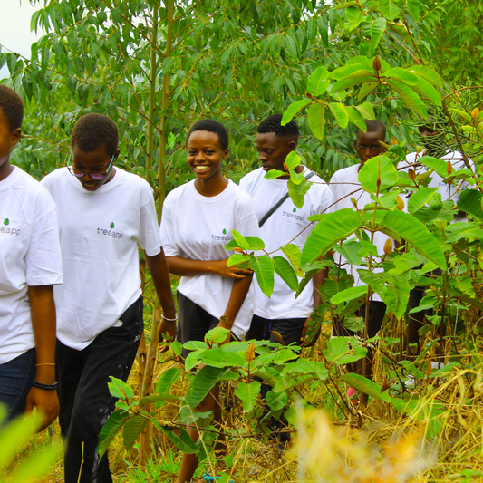 Plant Trees in Tanzania with Bupa