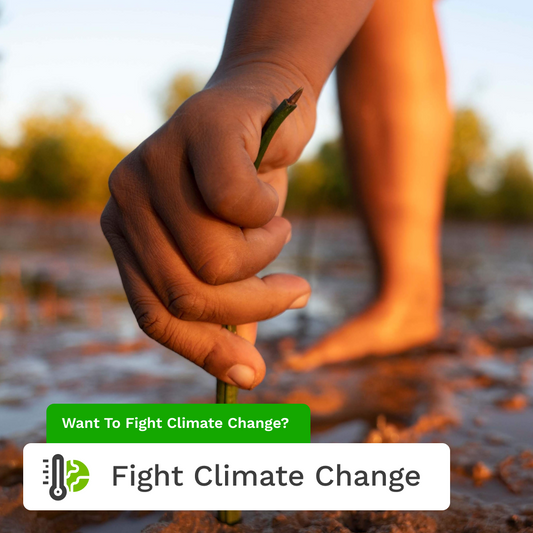 Fighting Climate Change Pack