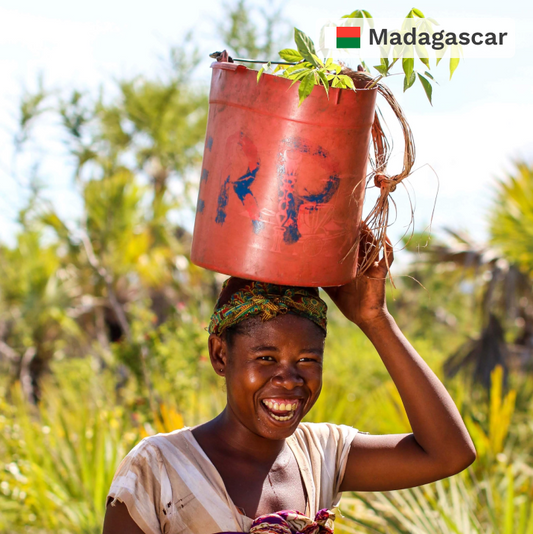 Plant in Madagascar